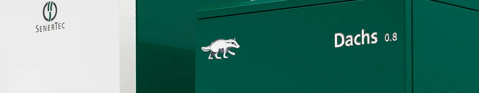 Dachs 0.8 von Senertec.